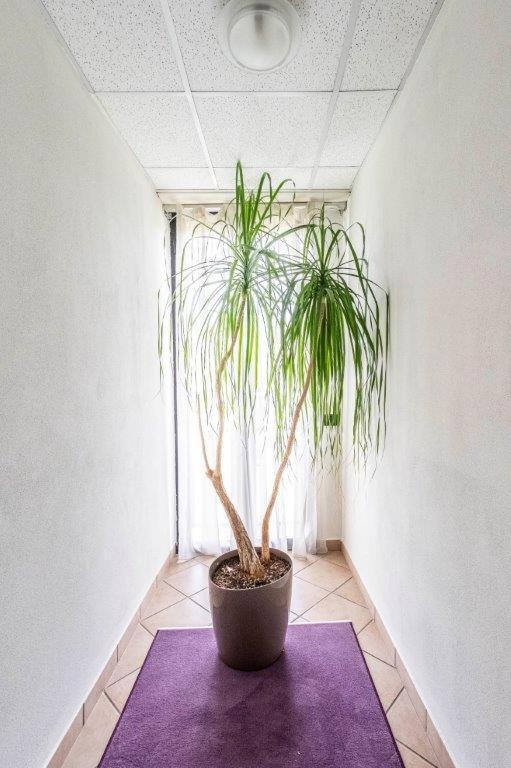 Hotel Le Palme (Adults Only) Dormelletto Zewnętrze zdjęcie